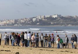 El grupo de cuarenta participantes que realizó este sábado el itinerario guiado por las playas de Somo y Loredo.