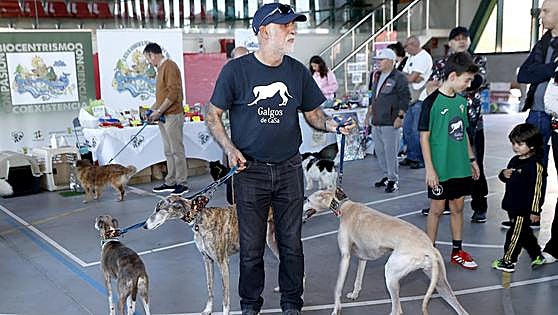 Fiesta de la adopción responsable en Torrelavega