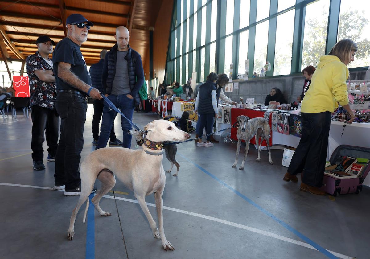 El mercadillo de las protectoras fue uno de los atractivos de la jornada.