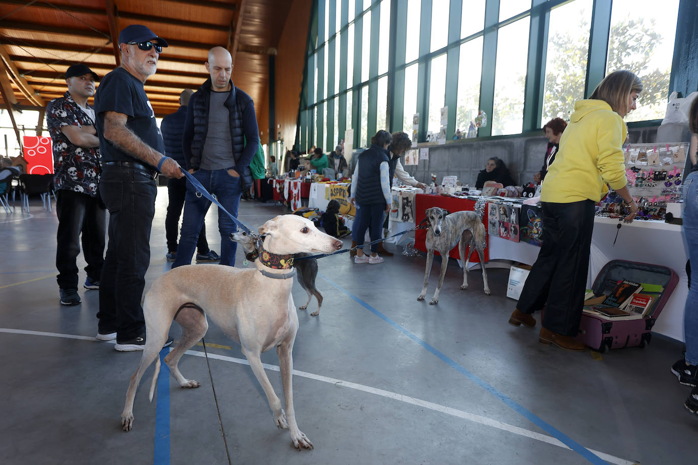 En la feria destacó la presencia de numerosos galgos.