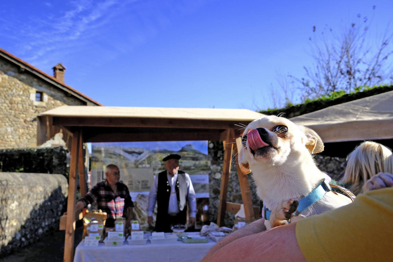 Un perro saca la lengua de espaldas a uno de los puestos de venta. 