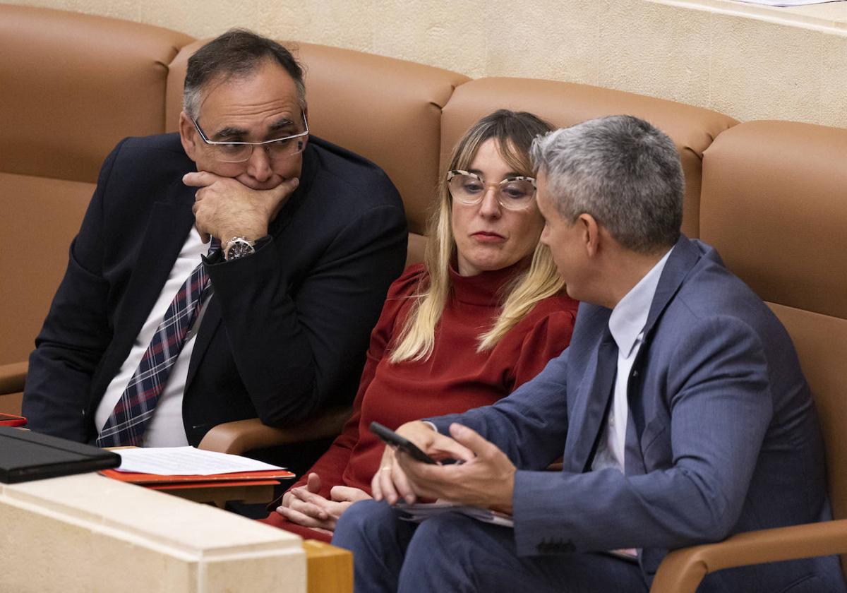 Los diputado del PSOE Raul Pesquera, Eugenia Gómez de Diego y Pablo Zuloaga en el pleno