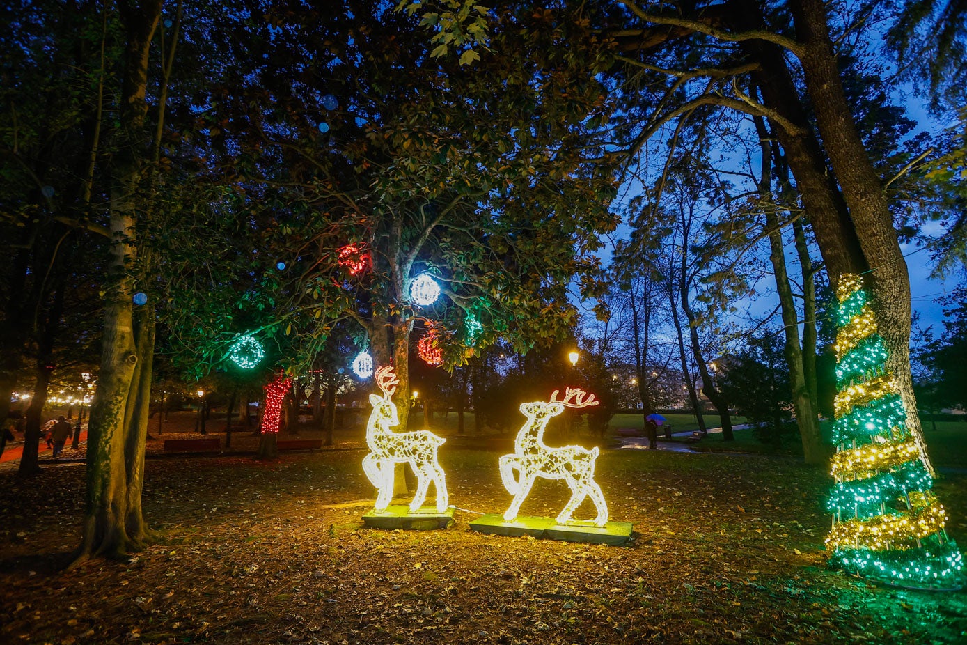 Los árboles y la decoración se alargan a lo largo de 5,5 kilómetros de luces sólo en el parque.