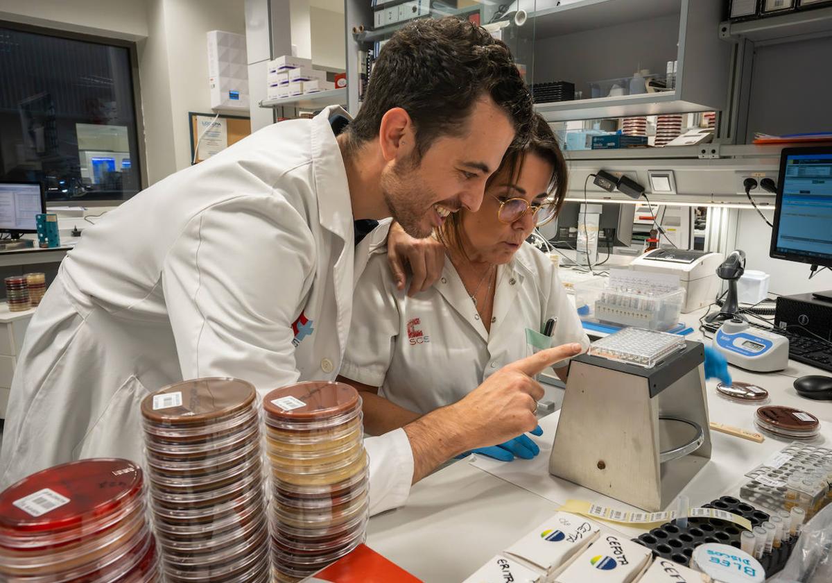 Investigadores del laboratorio de Microbiología de Valdecilla analizan la respuesta de diferentes bacterias a los antibióticos.