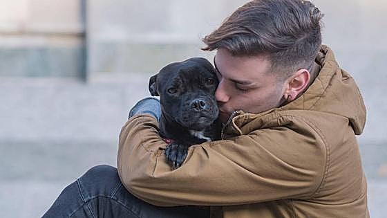 La adopción de mascotas en Navidad: Un compromiso familiar más allá de las fiestas