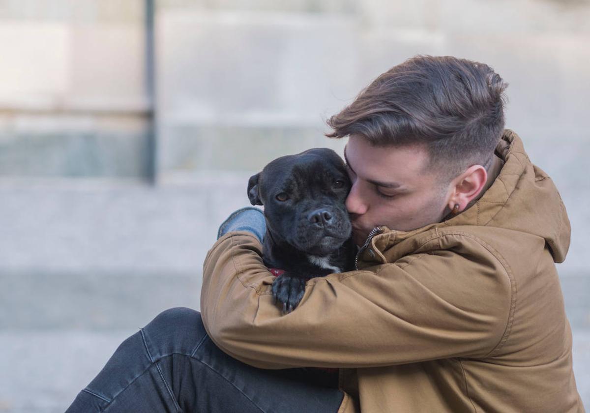 La inclusión de una mascota en la familia debe ser una decisión meditada y consensuada con todos los miembros, evitando la impulsividad.