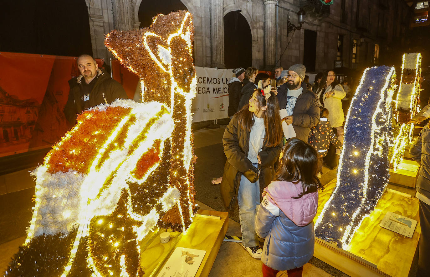 Esta actividad participativa convierte a los alumnos de quinto de primaria de todos los colegios de Torrelavega en protagonistas de la decoración de las calles 