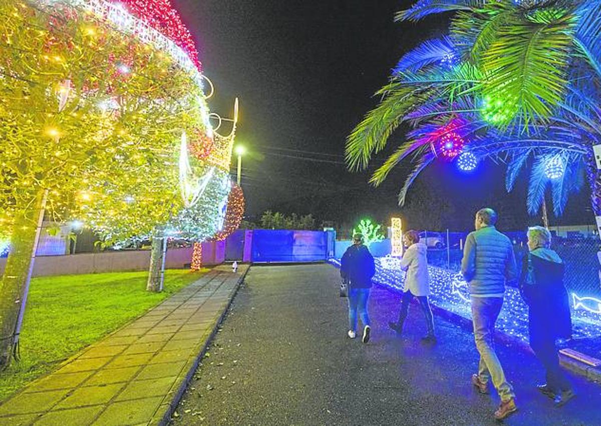 Imagen secundaria 1 - Un grupo de personas pasea por el jardín de la casa decorado. Todo sirve para poner luces, también el tejado.