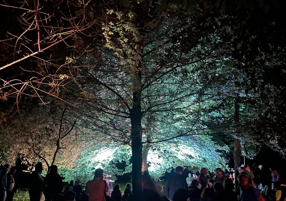 Intervención de Luz y Creatividad en el Parque de Jado.