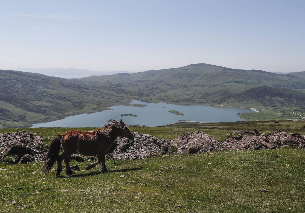 Montes donde se instalarán algunos de los molinos de El Escudo