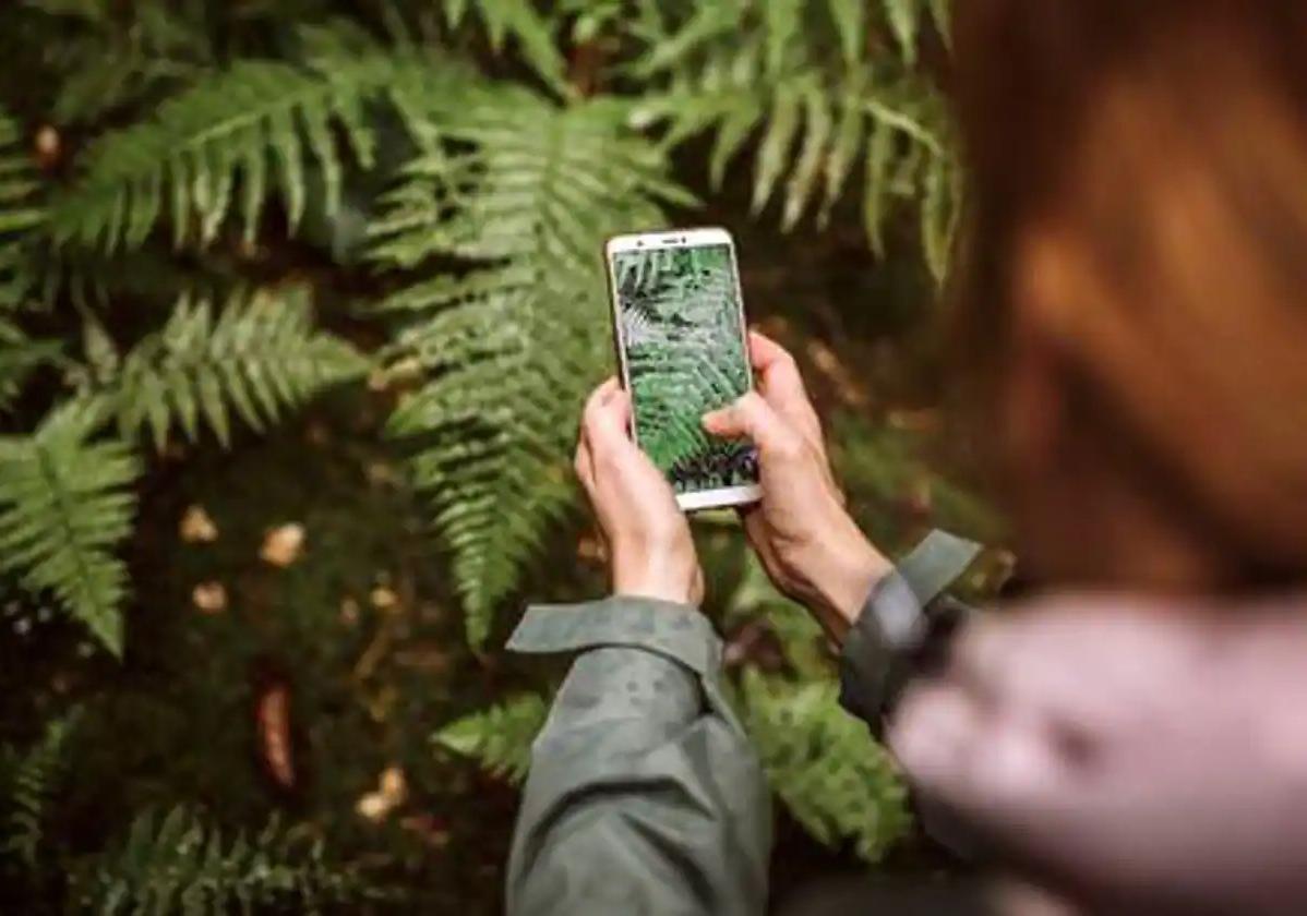 'Bioclima', la nueva app para monitorizar el ciclo de vida de las plantas