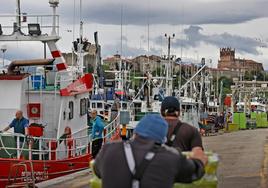 El puerto de San Vicente de la Barquera, lleno de actividad en plena costera del bocarte.