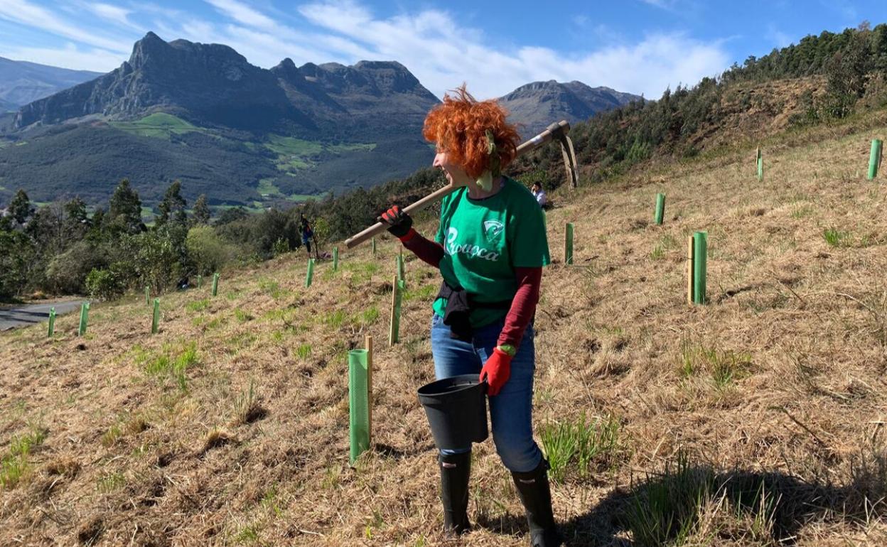 Este sábado, jornada de reforestación en el entorno de Ramales de la Victoria