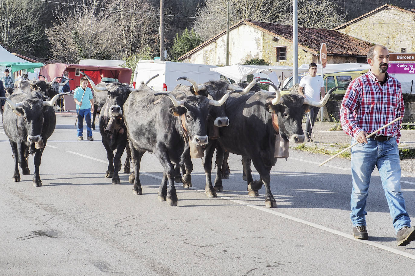 Fotos: El pueblo de Valle celebra su tradicional feria