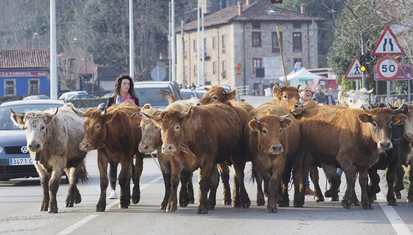 Fotos: El pueblo de Valle celebra su tradicional feria