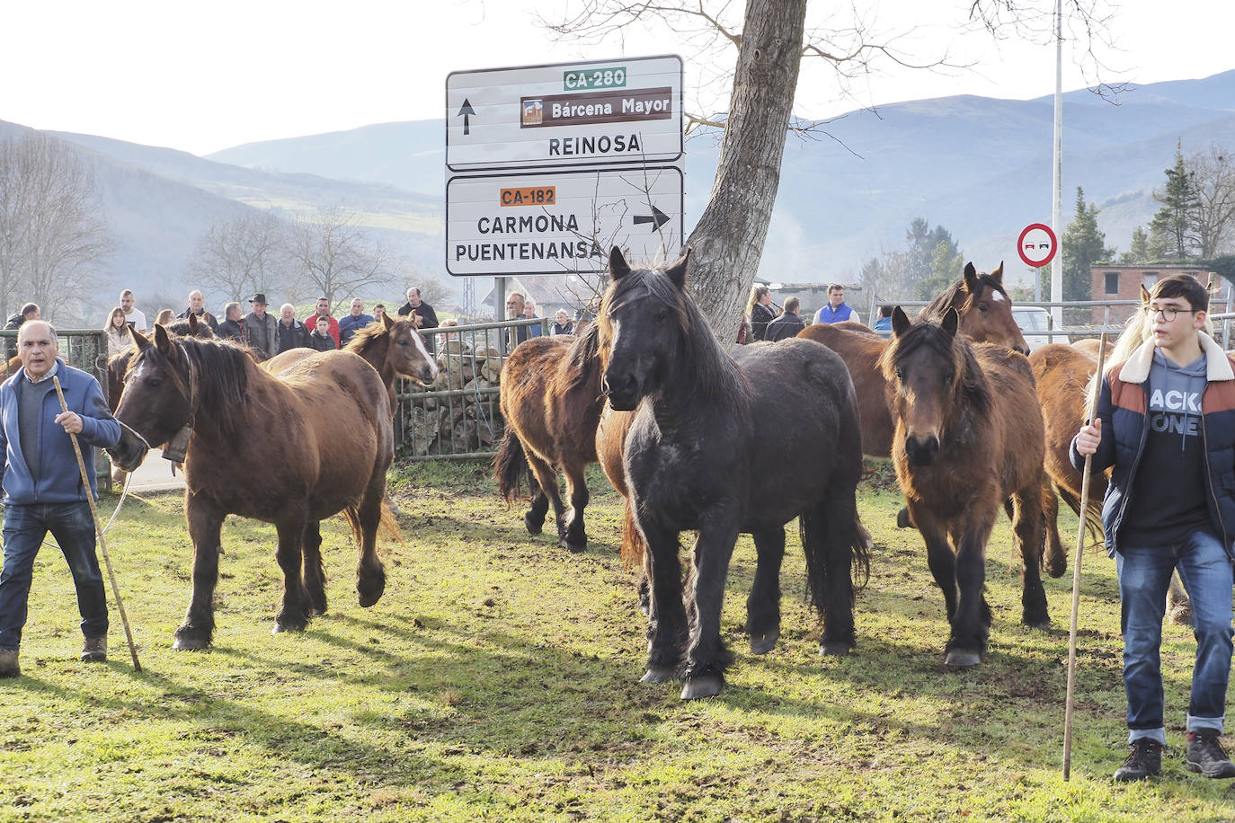 Fotos: El pueblo de Valle celebra su tradicional feria