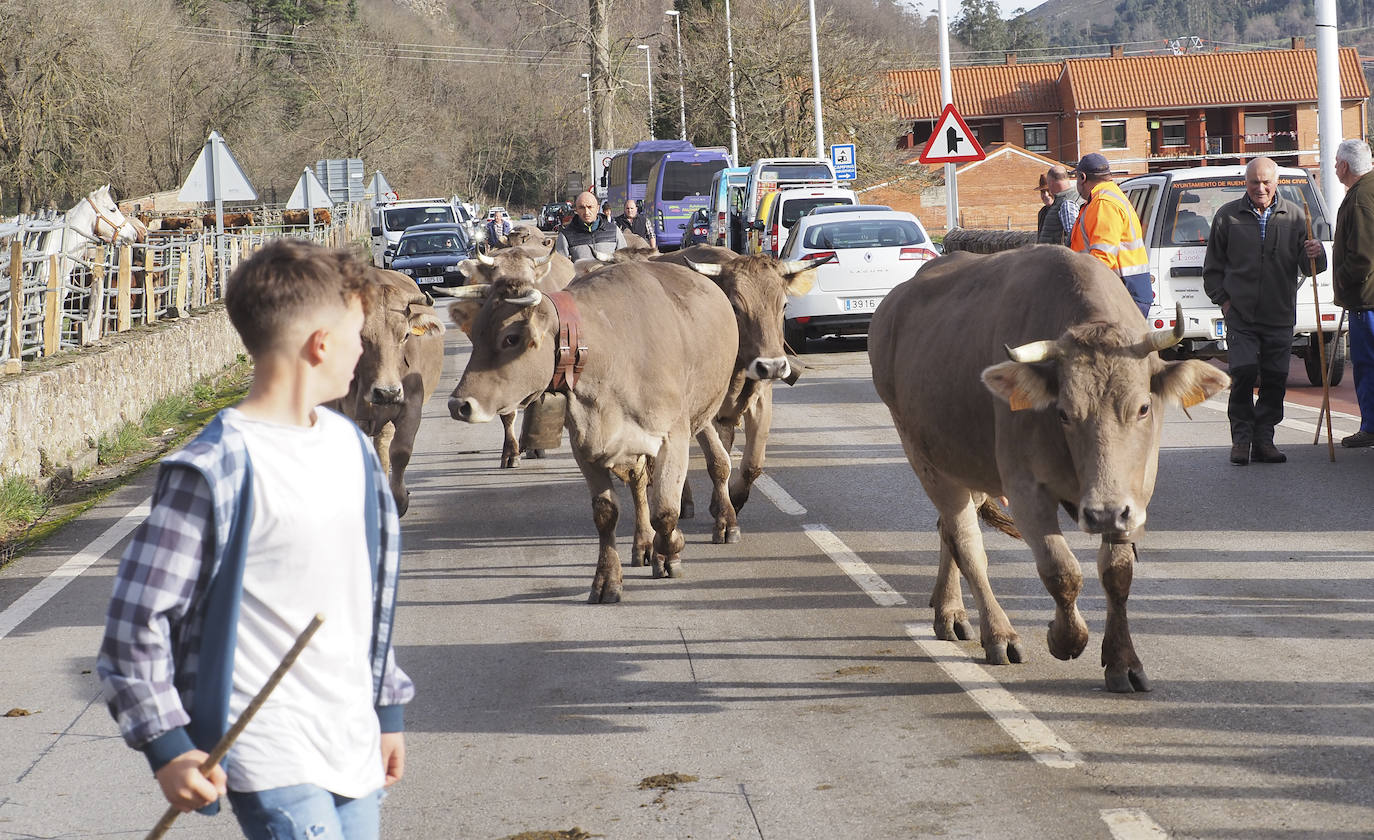 Fotos: El pueblo de Valle celebra su tradicional feria