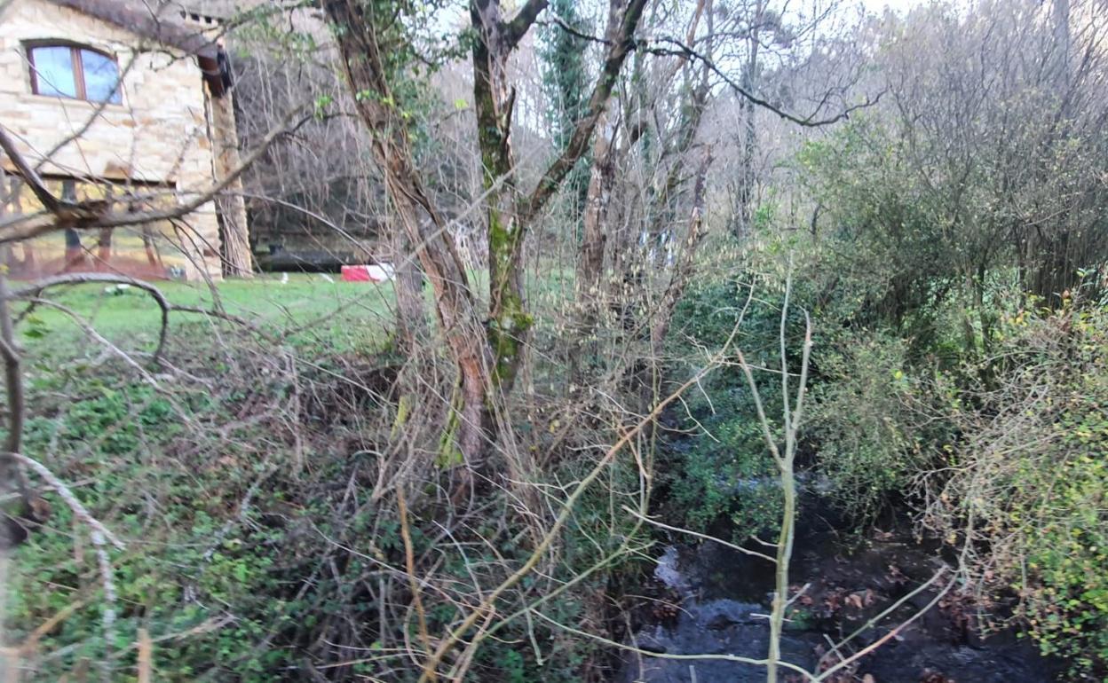 Estado actual del arroyo Barranco a su paso por Argomilla. 