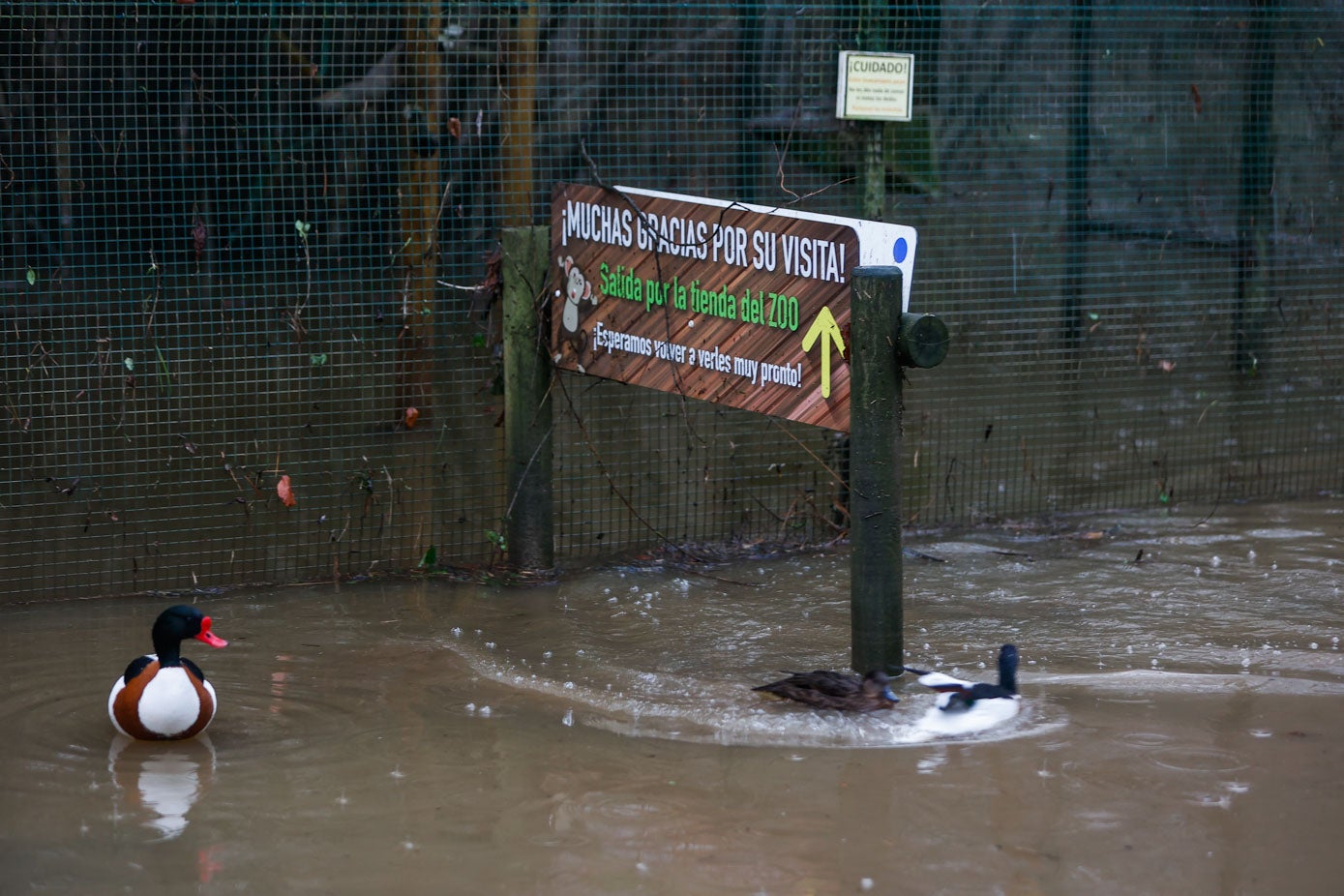 Fotos: Los animales del Zoo de Santillana del Mar sufren las consecuencias de las inundaciones