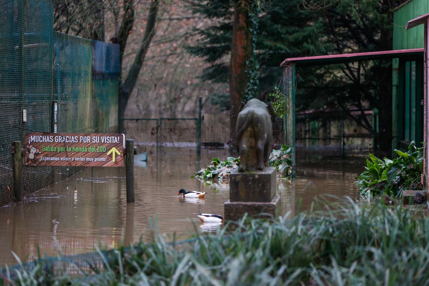 Fotos: Los animales del Zoo de Santillana del Mar sufren las consecuencias de las inundaciones