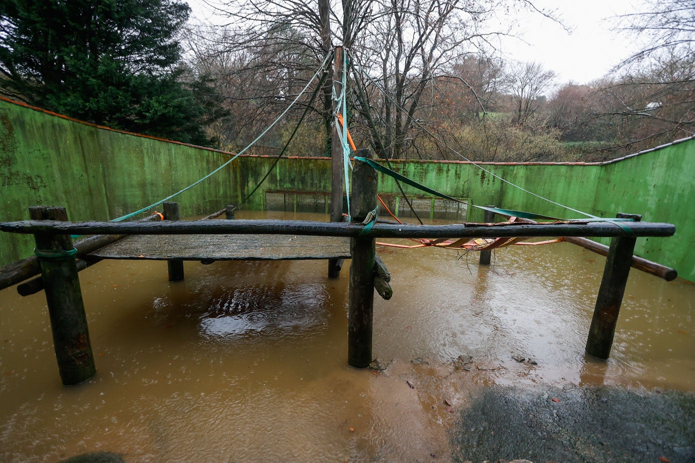 Fotos: Los animales del Zoo de Santillana del Mar sufren las consecuencias de las inundaciones