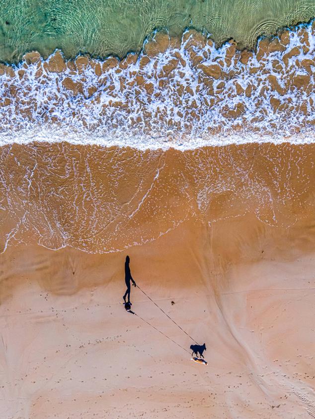 Paseando al perro por la playa. 