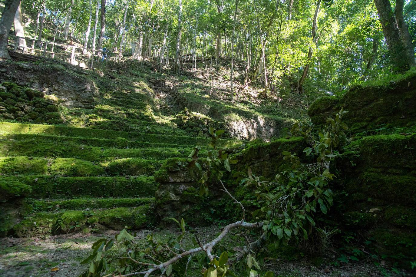 Un grupo de geólogos ha descubierto al norte del país unos restos de la civilización maya que han estado ocultos durante siglos bajo la penumbra de una selva tropical. Entre el vasto manto verde de la selva emerge, entre otras, la cresta de la Danta, una de las pirámides más grandes del mundo ubicada en la megaciudad maya El Mirador