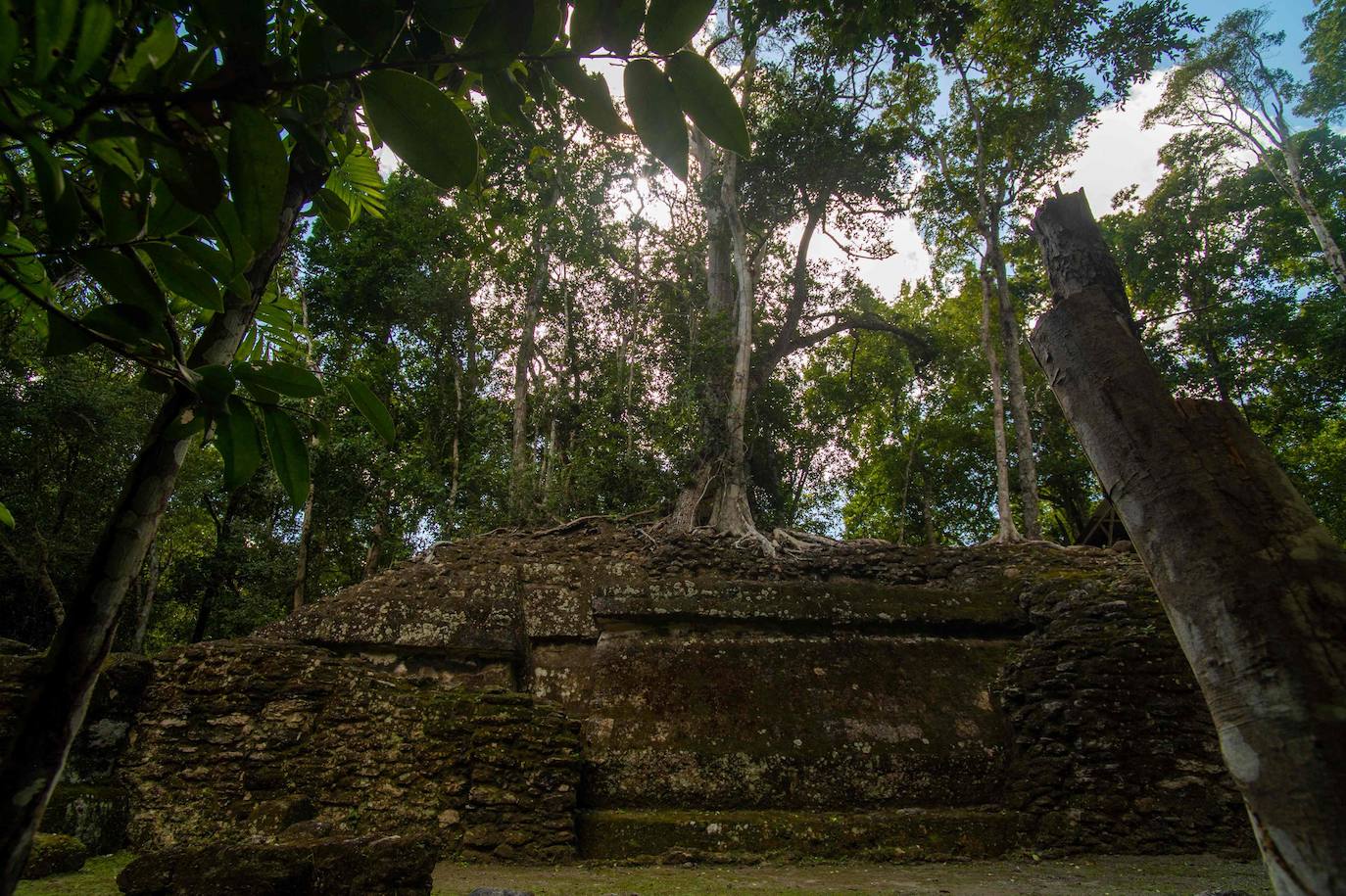 Un grupo de geólogos ha descubierto al norte del país unos restos de la civilización maya que han estado ocultos durante siglos bajo la penumbra de una selva tropical. Entre el vasto manto verde de la selva emerge, entre otras, la cresta de la Danta, una de las pirámides más grandes del mundo ubicada en la megaciudad maya El Mirador