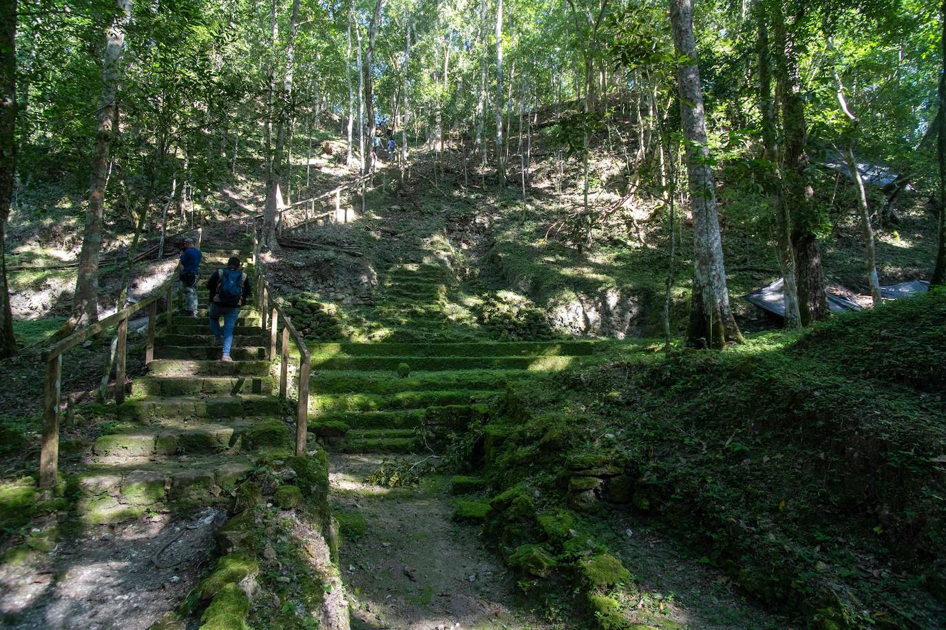 Un grupo de geólogos ha descubierto al norte del país unos restos de la civilización maya que han estado ocultos durante siglos bajo la penumbra de una selva tropical. Entre el vasto manto verde de la selva emerge, entre otras, la cresta de la Danta, una de las pirámides más grandes del mundo ubicada en la megaciudad maya El Mirador