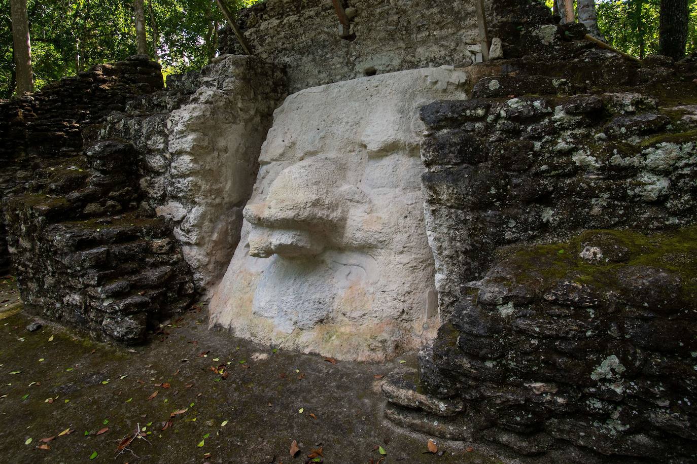 Un grupo de geólogos ha descubierto al norte del país unos restos de la civilización maya que han estado ocultos durante siglos bajo la penumbra de una selva tropical. Entre el vasto manto verde de la selva emerge, entre otras, la cresta de la Danta, una de las pirámides más grandes del mundo ubicada en la megaciudad maya El Mirador