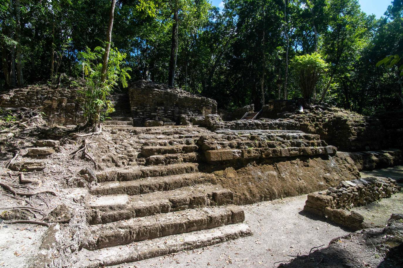 Un grupo de geólogos ha descubierto al norte del país unos restos de la civilización maya que han estado ocultos durante siglos bajo la penumbra de una selva tropical. Entre el vasto manto verde de la selva emerge, entre otras, la cresta de la Danta, una de las pirámides más grandes del mundo ubicada en la megaciudad maya El Mirador