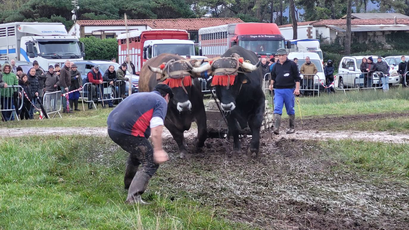 Los concursos de ollas y marmitas marineras y el de arrastre de ganado han abierto el programa festivo