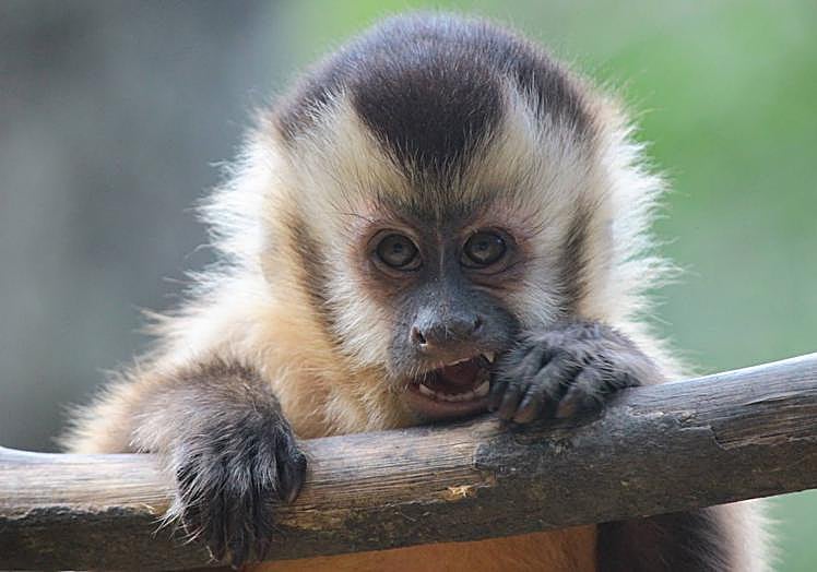 Además de biólogo, Márquez es aficionado a la fotografía.