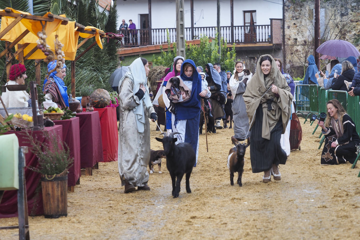 Cabras, ovejas, perros, caballos, burros y ponis formaron parte del viaje en el tiempo de Seña a Belén.