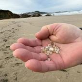 La contaminación por pélets llega a las playas de Cantabria