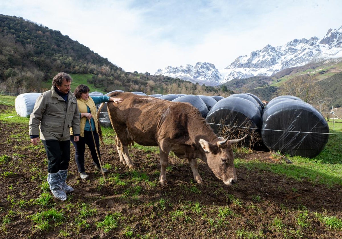 El consejero junto a la ganadera Conchi Llanes, en su exploración de Villagloria.