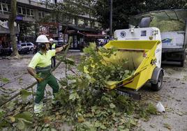 Un trabajador de la anterior UTE adjudicataria de Parques y Jardines, en la calle Vargas.