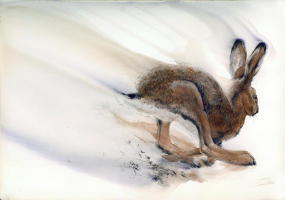 Imagen principal - La &#039;Tinta salvaje&#039; de un cuaderno de campo