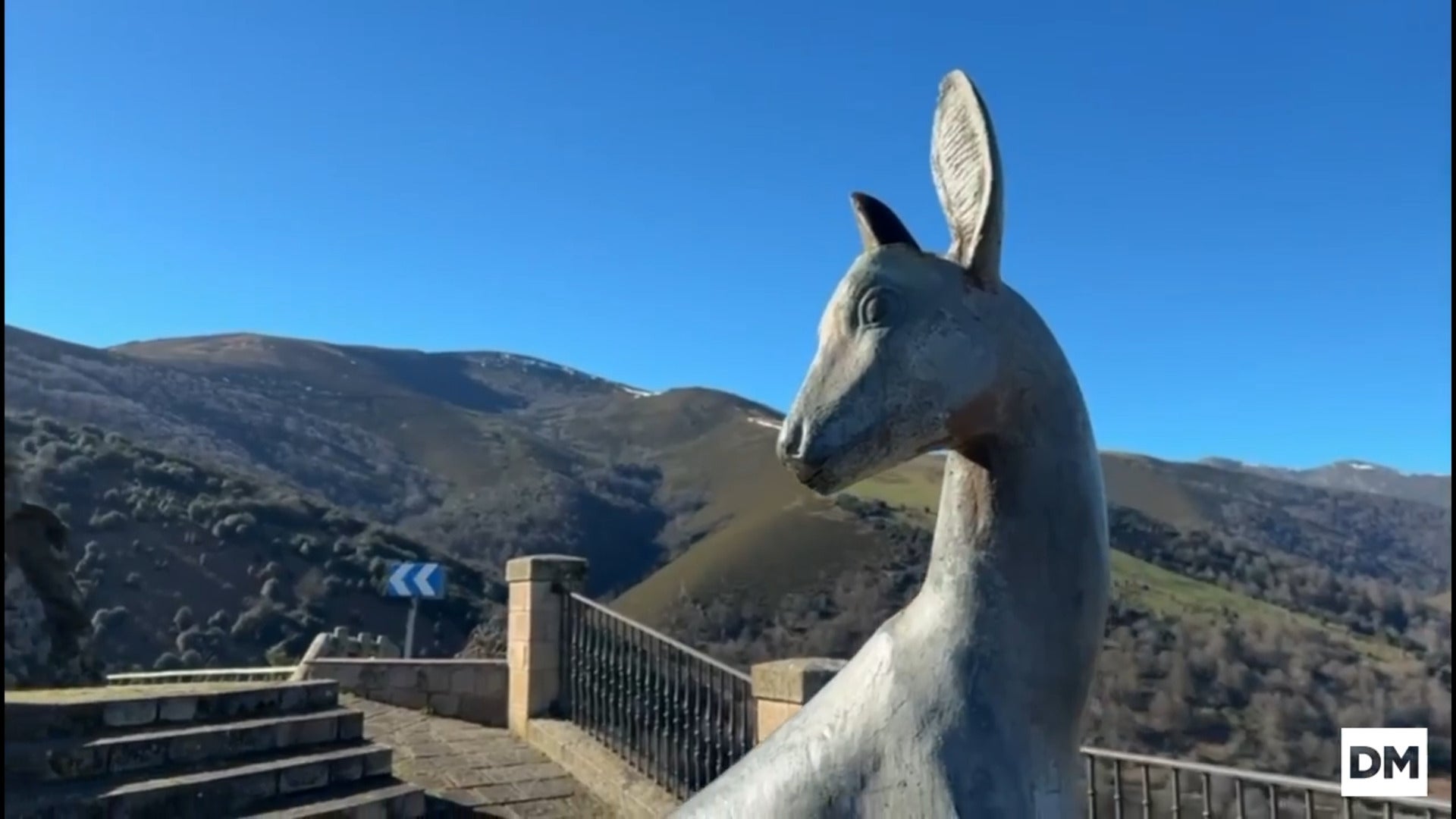 Arrancan los cuernos al corzo del mirador de La Cardosa