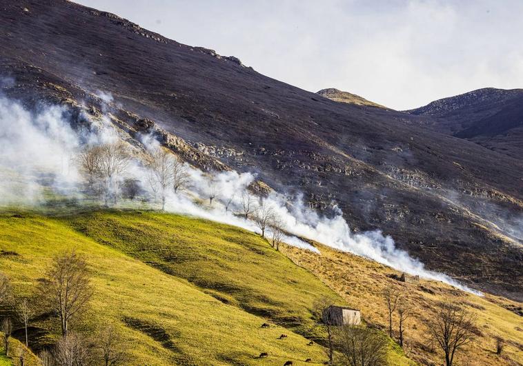 Los montes de Soba ardieron ayer en varios focos, pero las llamas no afectaron a viviendas ni a tendidos eléctricos.