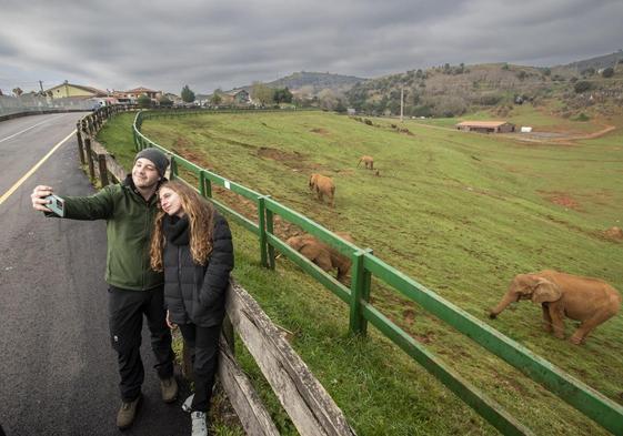 Una pareja sacándose ayer una foto ante la zona de los elefantes del Parque de la Naturaleza de Cabárceno, con el edificio actual al fondo.