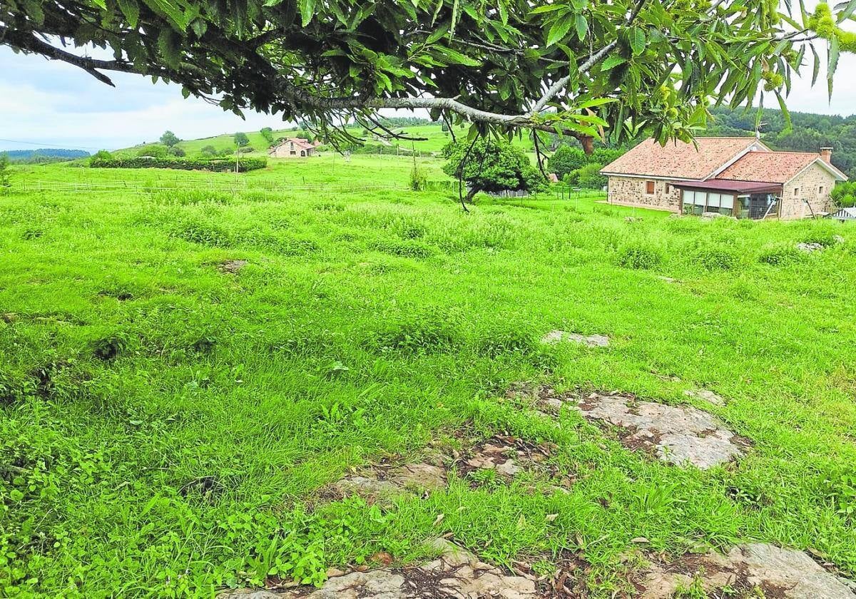 Terrenos a subasta en San Pedro de Rudagüera.