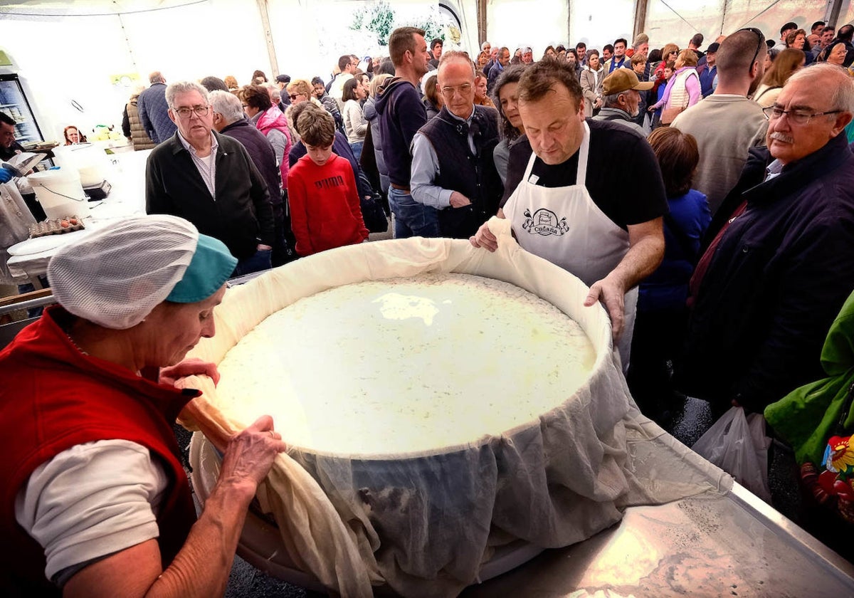 Elaborado el queso fresco más grande de España de 125 kilos en la Feria de la Leche de Ruiloba