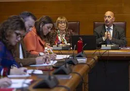 El consejero de Salud, César Pascual, interviene en la comisión de Sanidad del Parlamento para dar cuenta de las listas de espera.