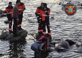 Dos mujeres sujetan la cabeza del caballo herido entre las rocas de La Maruca.