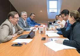 Reunión del Consejo Ejecutivo del ICAF celebrado este viernes.