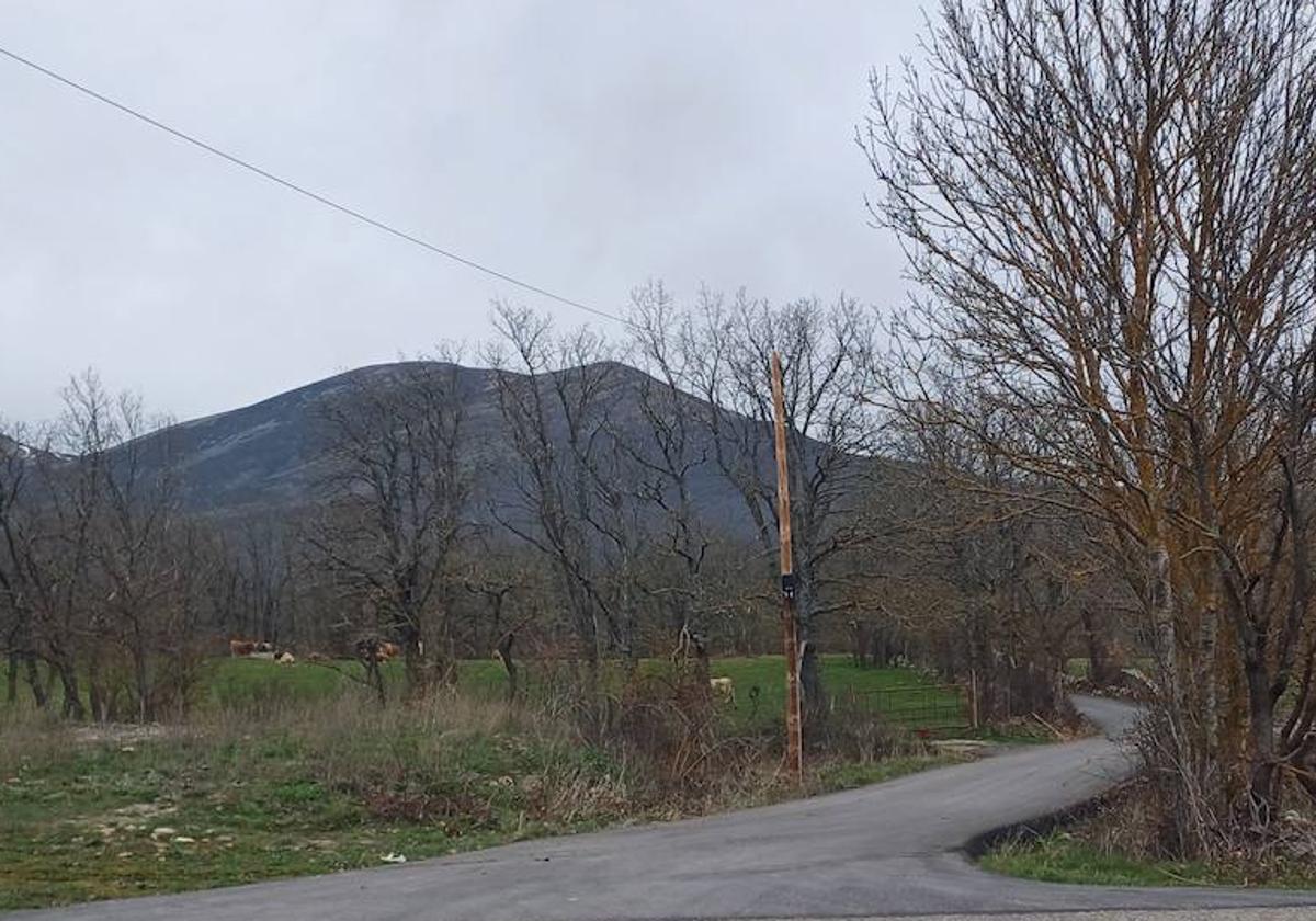 Cruce donde da comienzo la senda Barrio-Riaño, en la CA-280 dirección Brañosera.