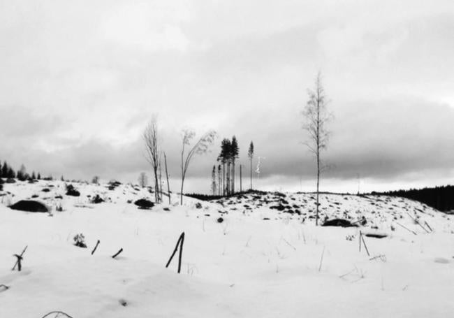 'Variaciones de Winterreise', obra de Inés García.