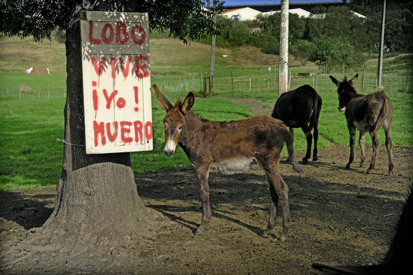 El sector primario lleva meses de denuncia.