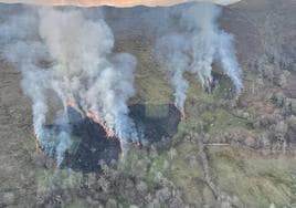 Imagen aérea captada por el equipo de bomberos forestales de Ruente.